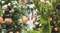 Creative Uses for Artificial Grass this Christmas