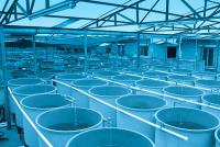 Corrosion Resistant Fans for Oxygen Rich Environments