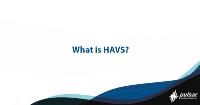 What is HAVS?
