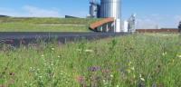 GREEN ROOF INSTALLATION: SOPREMA IS YOUR ONE-STOP-SHOP