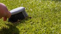 Best Ways To Clean Artificial Grass