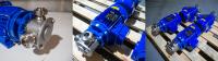 Urgent Hygienic Pumps for Food Packaging Plant – Case Study