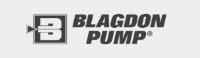 The Blagdon Range of Air Operated Double Diaphragm Pumps