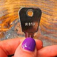 81A Master Key for Link Lockers