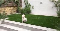 Dog-friendly Artificial Grass