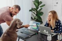 Should dogs be allowed in the office?