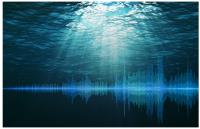 Monitoring the Seabed – The Subtle Distinction