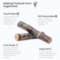 We can make your products from sugar cane