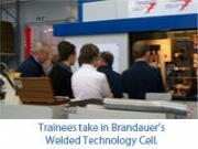 Brandauer&#58; Apprentice Development and Future Skills Needs