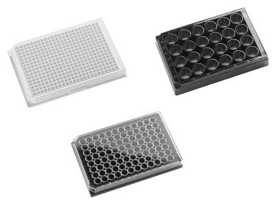 Glass Bottom Microplates for Imaging Applications
