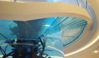 Spectacular glass staircase Aquarium _ Gleneagles