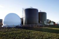 Anaerobic Digestion - The Future of Renewable Energy?