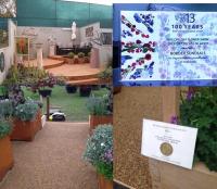 Eco Resin Bound features on two award winning stands  at the RHS Chelsea Flower Show