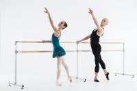 HARLEQUIN BALLET BARRES