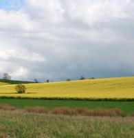 Record Crops Predicted – Storing Chemicals in Suitable Vertical Storage Tanks