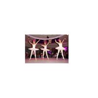 Ballet performed on Harlequin dance floor at breast cancer fund raiser