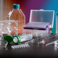 Tissue Culture Plastics & Epigenetic Supplies