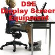 Working with Display Screen Equipment (DSE)