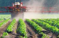North East Farmer to Lead Pesticide Scheme