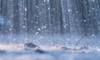 Rainwater Harvesting Tanks Protect Against Uncertain Rainfall
