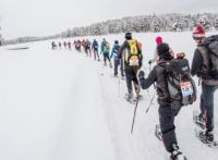 CEO TACKLES TREACHEROUS ARCTIC FOR CHARITY