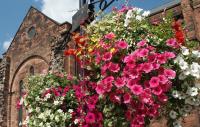 Tips for Britain in Bloom – Horticultural achievement 