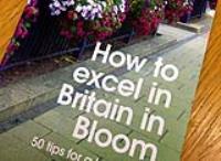 Britain in Bloom - preparing for 2016