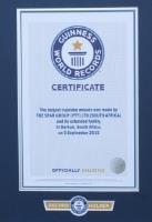 Guinness World Record achieved by using a Riggs Autopack depositor