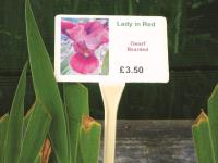 CREATE PLANT LABELS TO CATCH YOUR CUSTOMERS’ EYE