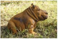 £10 Off Fun Sized Hippo!