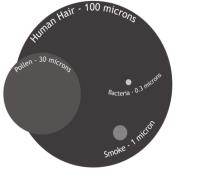 How Big is a Micron?