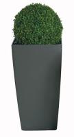 ARTIFICIAL PLANTS FOR SHOPS AND SHOPPING CENTRES