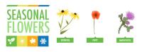 Seasonal Flowers Infographic