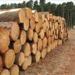 Raw material price rise on wooden pallets and packaging