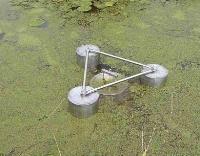 Duckweed Control And Removal From Ponds