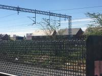 Zaun devises ingenious high-security ArmaWeave upgrade to Palisade