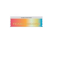 Rainbow effect conference ribbons