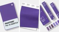 When will Pantone’s Colour of the Year 2019 be announced and why is it important?