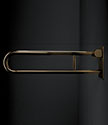 Gold Removable Hinged Grab Bar (154G)