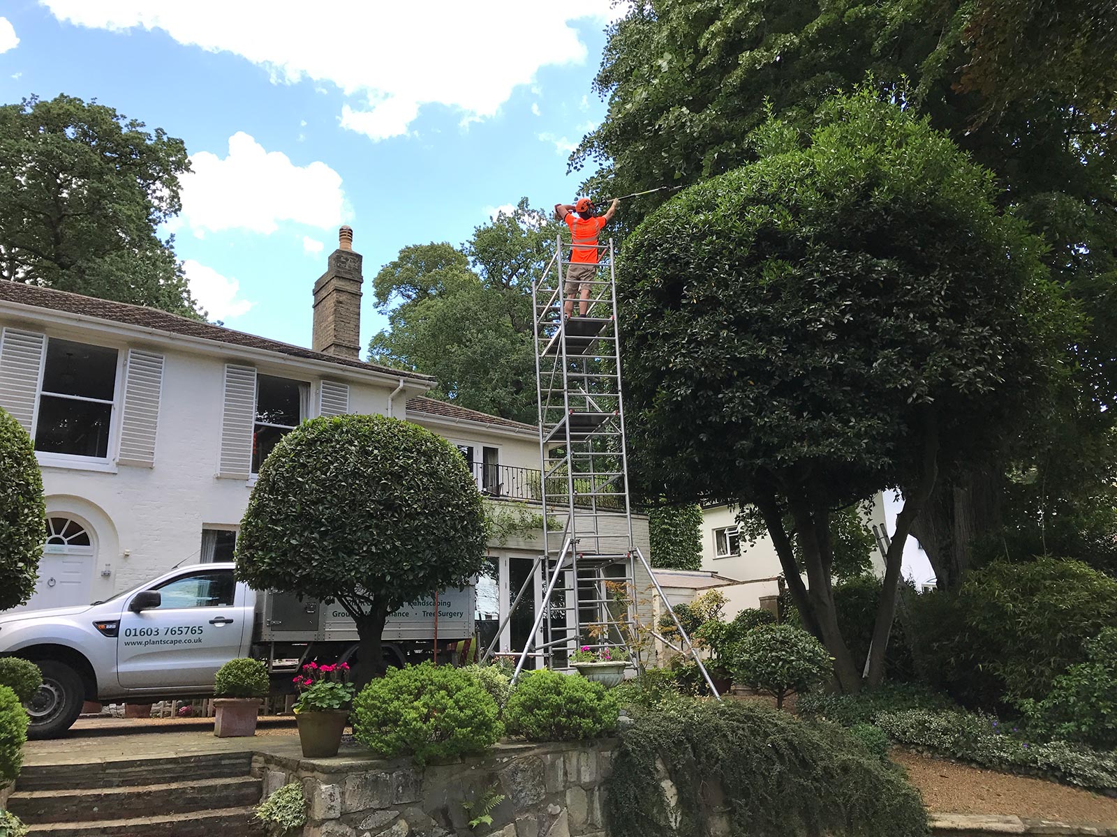 Hedge Cutting Services Mulbarton