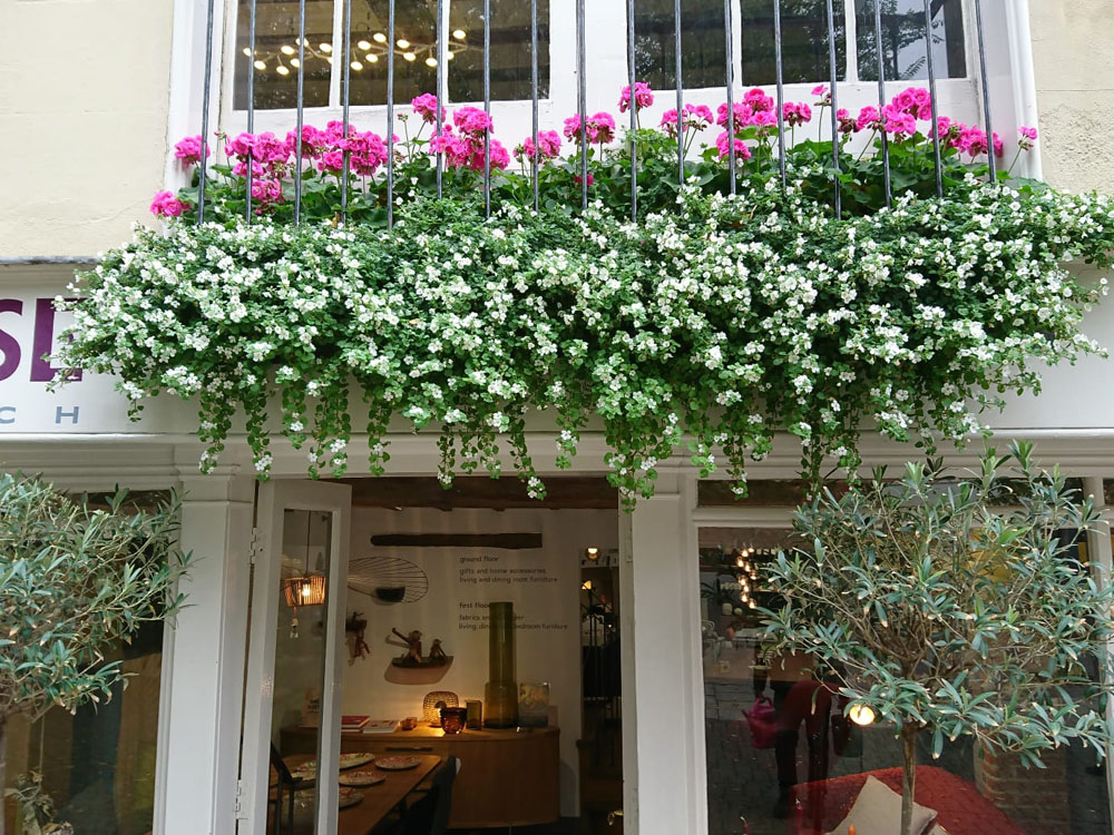 Suppliers Of Entrance Planters Eaton