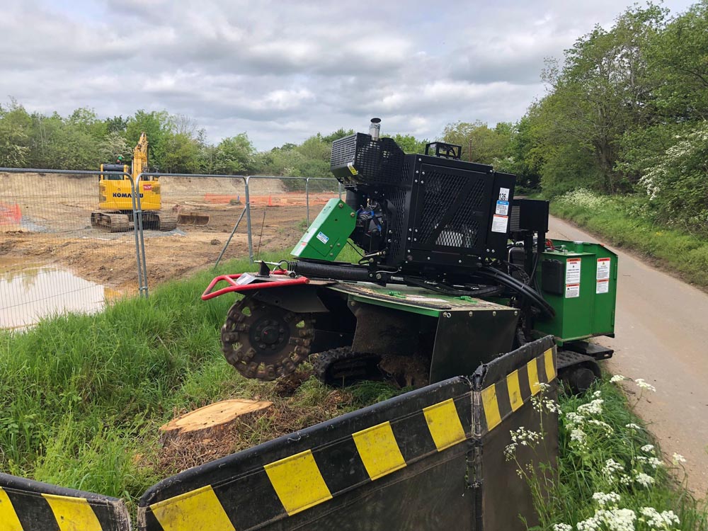 Tree Stump Grinding Services Cringleford