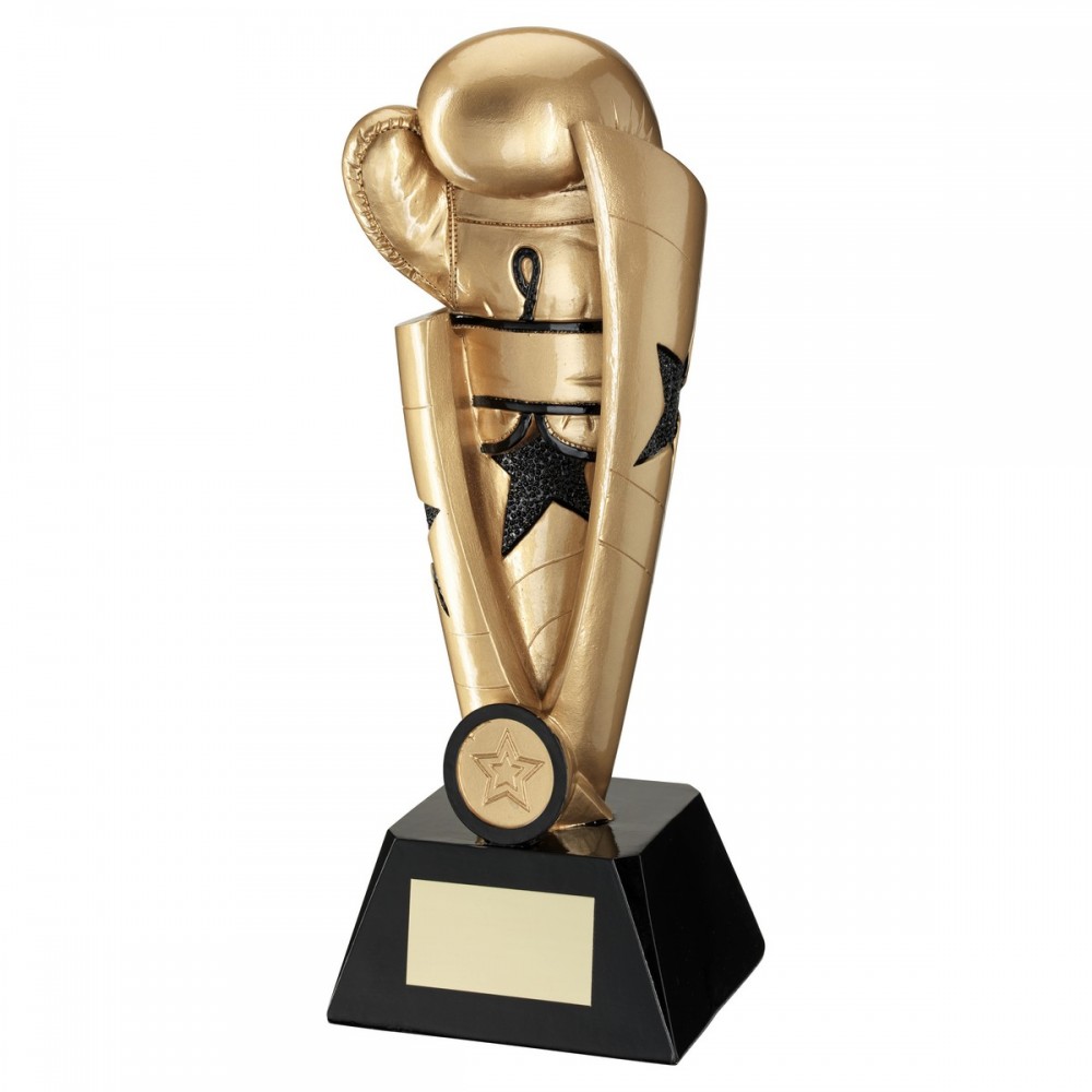 Silver Gold Boxing Resin Award - 3 sizes