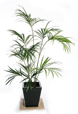 Artificial Pine Trees UK Suppliers