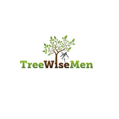 Tree Wise Men