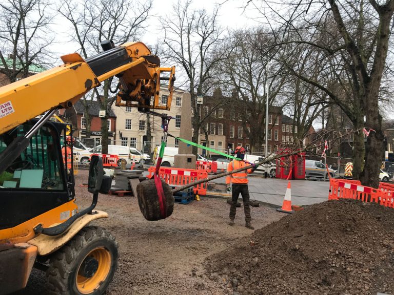 Tree Dismantling Services Mulbarton