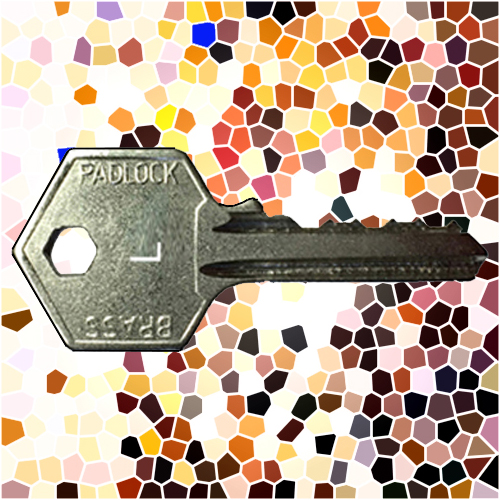 ASEC Padlock Key L