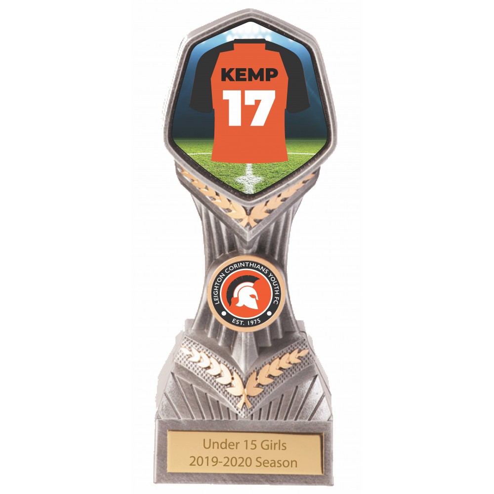 Suppliers Of 10 x Falcon Personalised Player Award - 5 sizes Hertfordshire