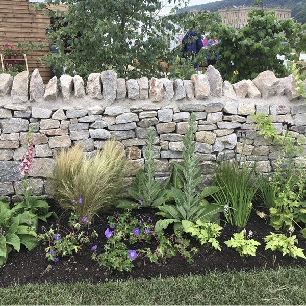 Peak Dry Stone Walling