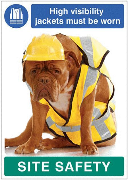 High visibility jackets must be worn - dog poster 420x594mm synthetic paper